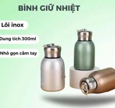 Bình giữ nhiệt 300ml