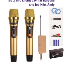 Bộ 2 mic không dây UHF TK79 pin sạc