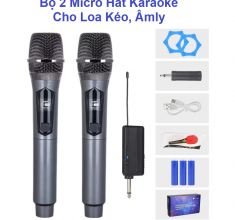 Bộ 2 Micro không dây UHF pin sạc Xám