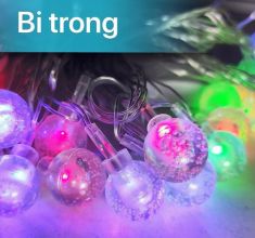 Dây đèn Led chớp kiểu hình bi trong dài 5m