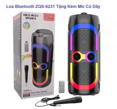 Loa xách tay hình trụ Sing-e 6231