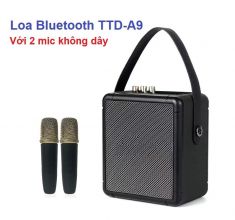 Loa xách tay TTD-A9  kèm 2 mic không dây